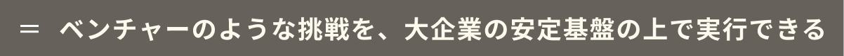 ベンチャーのような挑戦を、大企業の安定基盤の上で実行できる